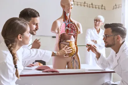 A woman studies anatomical illustrations on a tablet indoors, promoting focused learning.